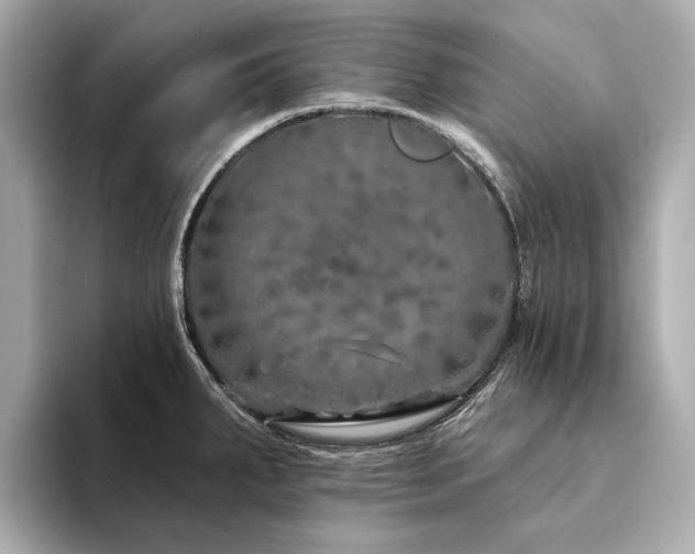 X0000094331287200711021403