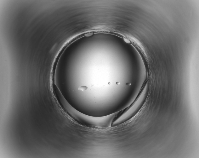 X0000094331288200711021403