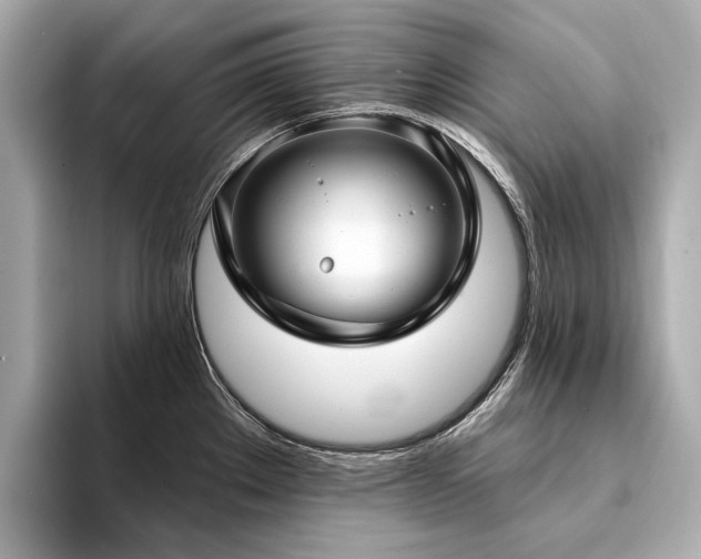 X0000094331289200711021403