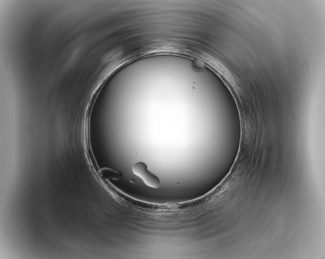 X0000094331290200711021403