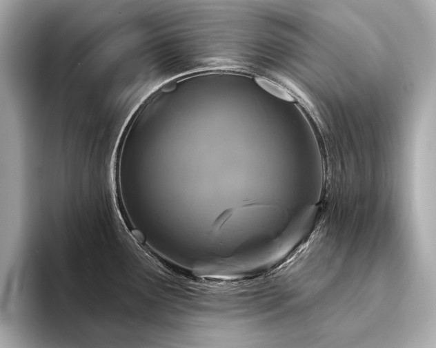 X0000094331291200711021403