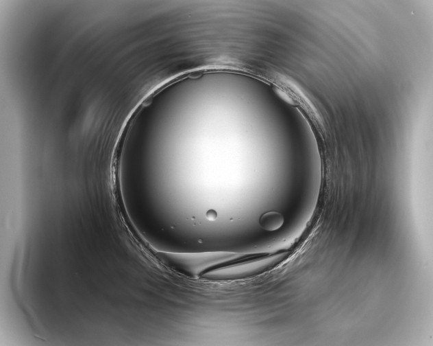 X0000094331292200711021403