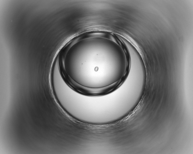 X0000094331293200711021403