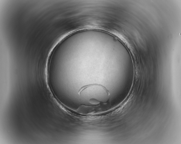 X0000094331294200711021403