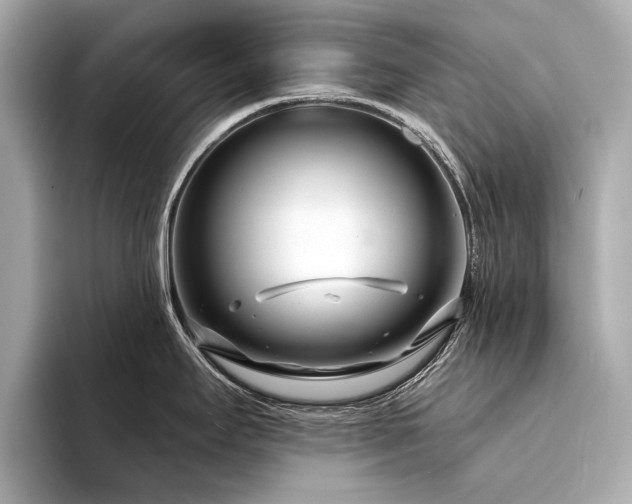 X0000094331295200711021403