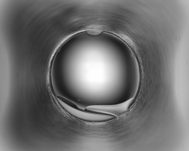 X0000094331296200711021403