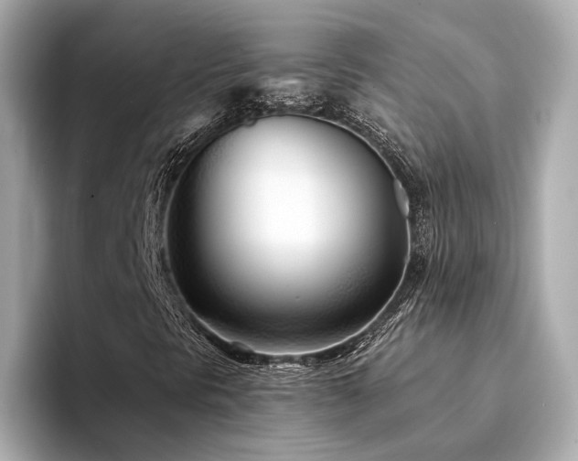 X0000094331297200711021402