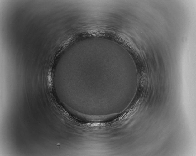 X0000094331298200711021402