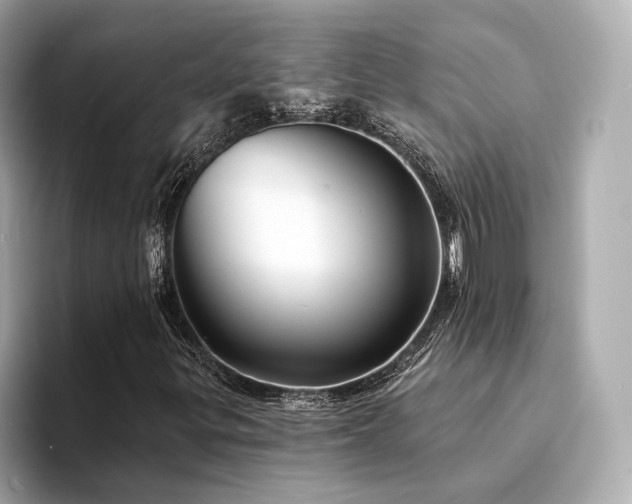 X0000094331299200711021402