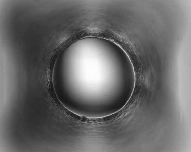 X0000094331301200711021402