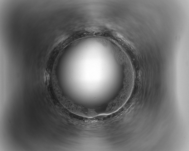 X0000094331302200711021402