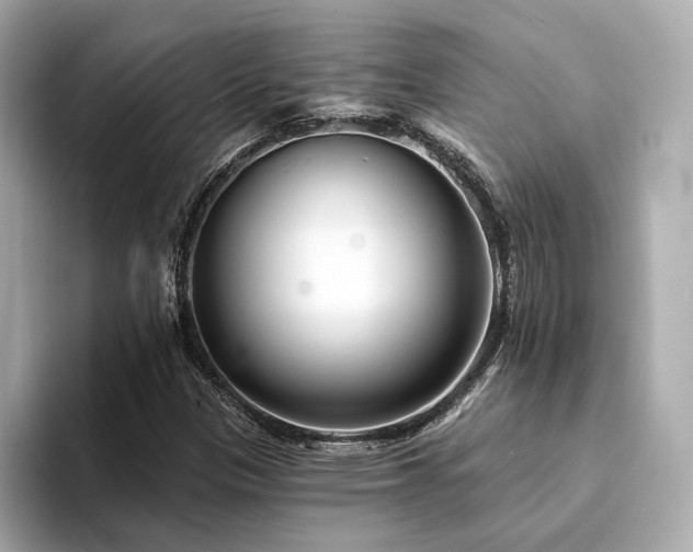 X0000094331305200711021402