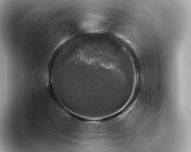 X0000094331306200711021402