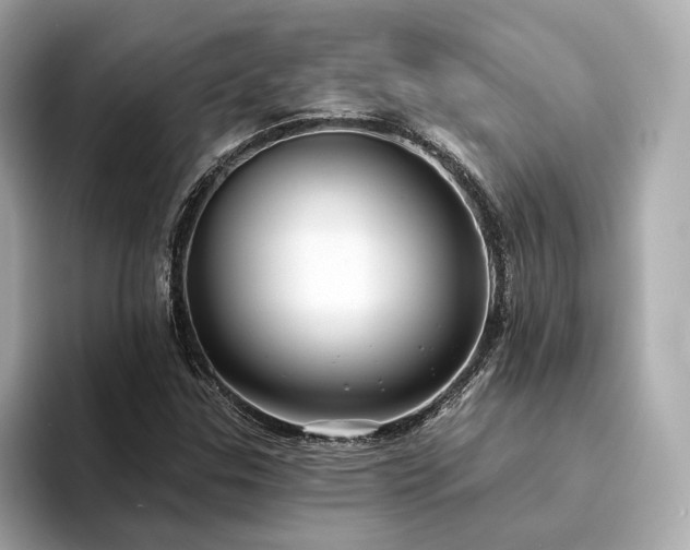 X0000094331307200711021402