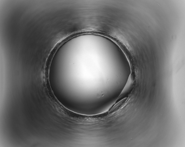 X0000094331308200711021402
