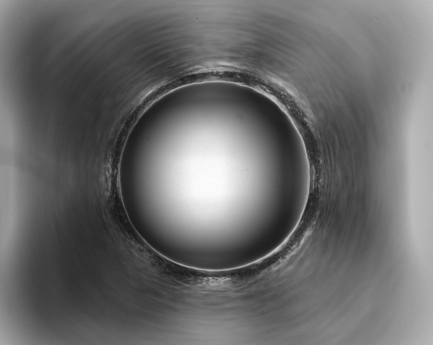X0000094331313200711021402