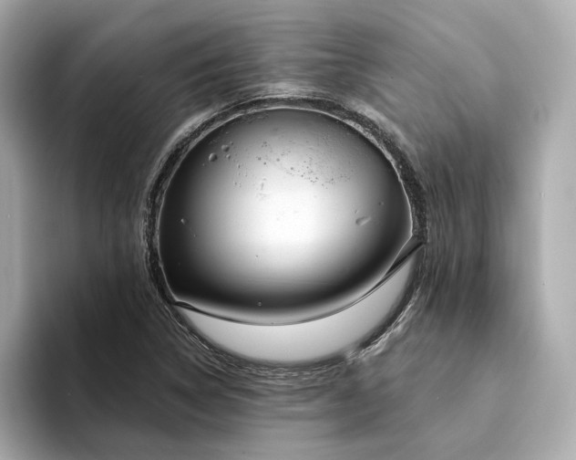 X0000094331314200711021402