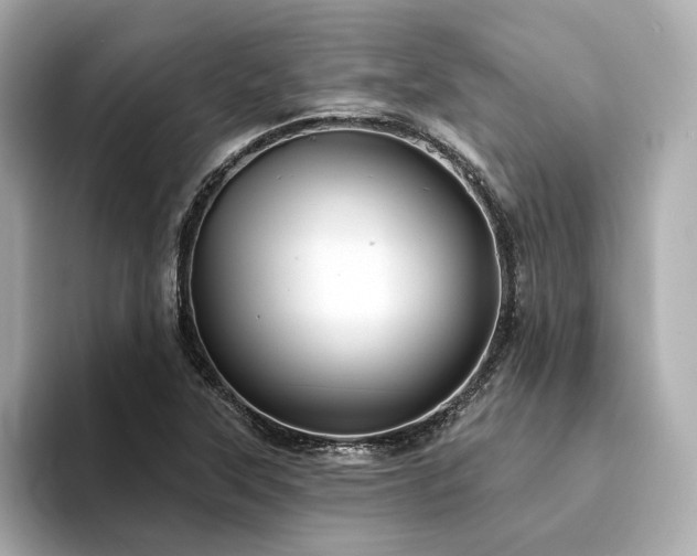 X0000094331315200711021402
