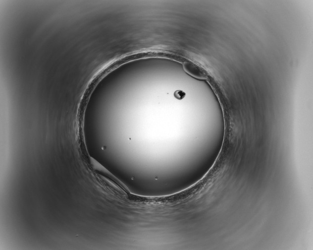 X0000094331316200711021402