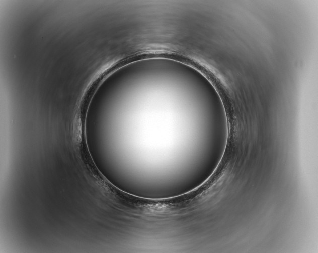 X0000094331317200711021402