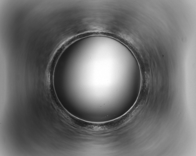 X0000094331318200711021402