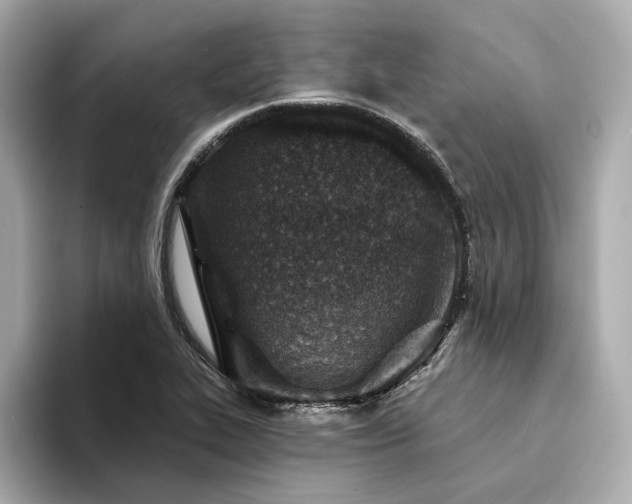 X0000094331319200711021402