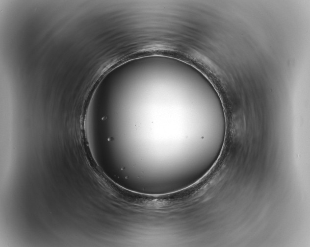 X0000094331321200711021402