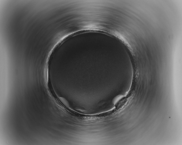 X0000094331323200711021403