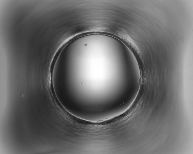 X0000094331324200711021403