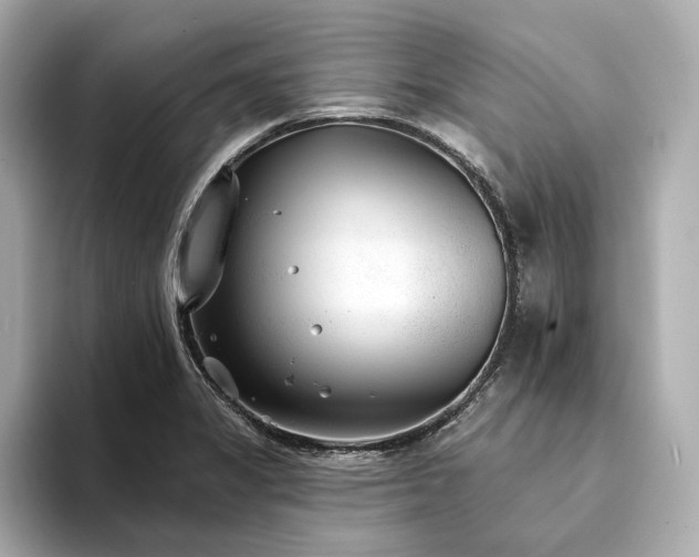 X0000094331325200711021403
