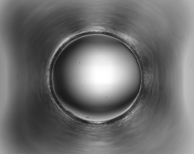 X0000094331326200711021403
