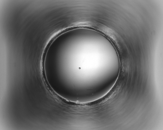 X0000094331328200711021403