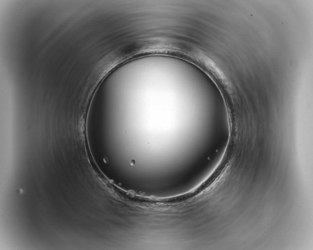 X0000094331329200711021403