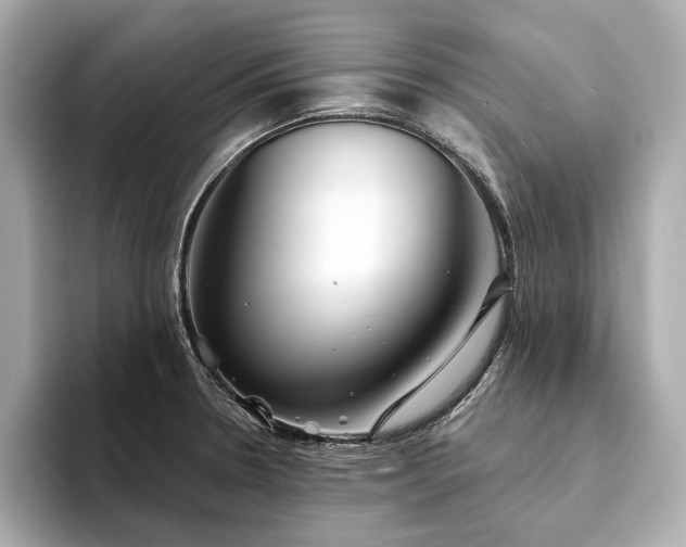 X0000094331330200711021403