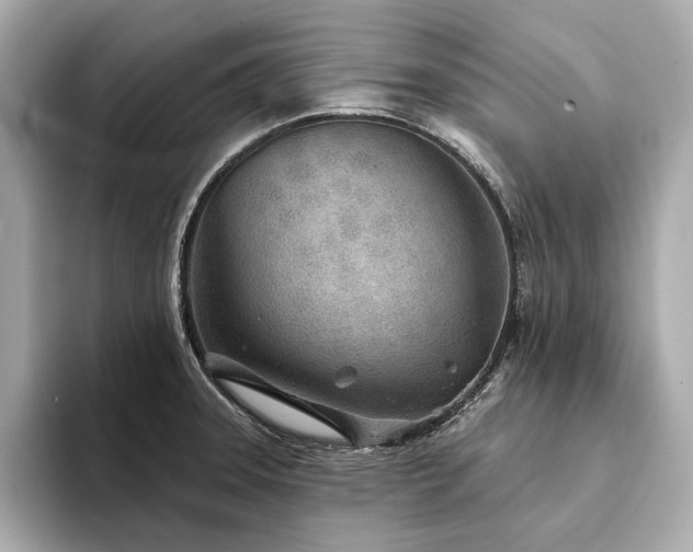 X0000094331331200711021403