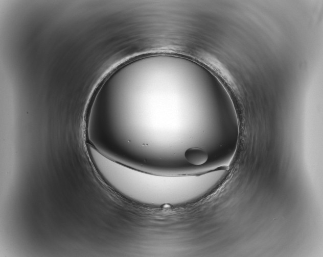 X0000094331332200711021403