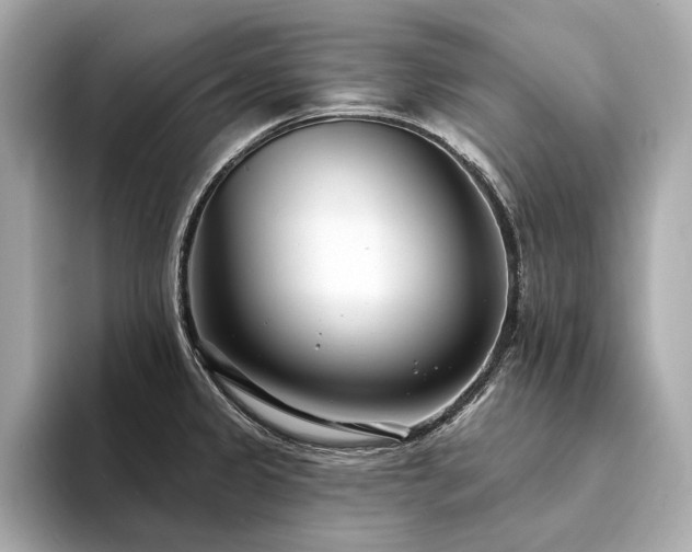 X0000094331333200711021403