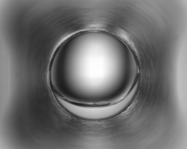 X0000094331336200711021403