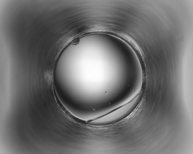 X0000094331337200711021403