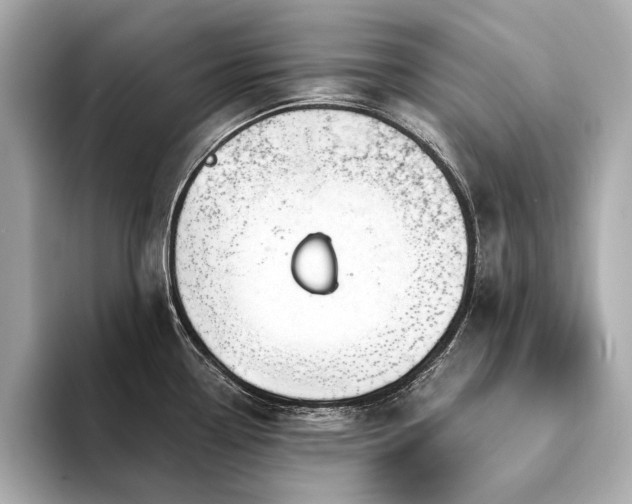 X0000094331338200711021403