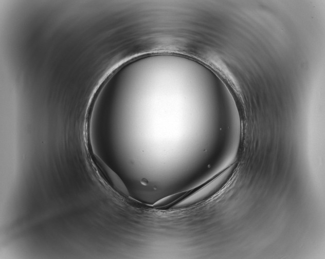 X0000094331340200711021403