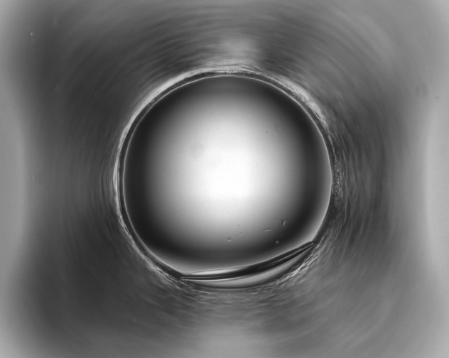 X0000094331343200711021403