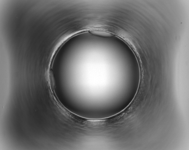 X0000094331344200711021403