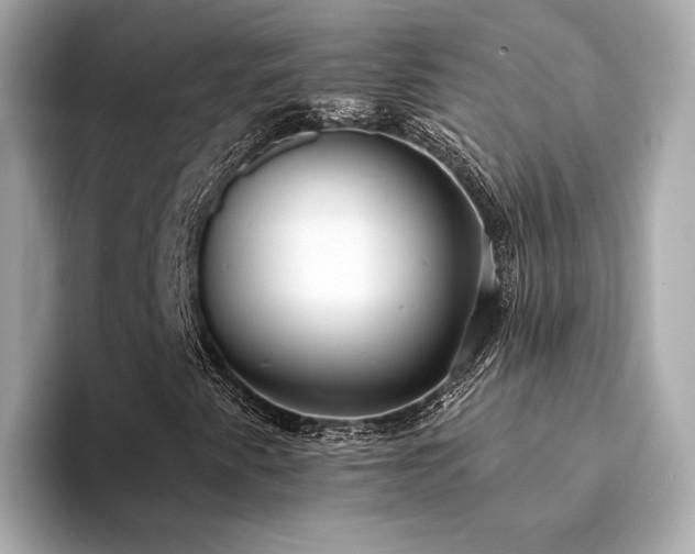 X0000094331345200711021402