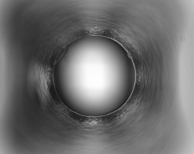 X0000094331346200711021402