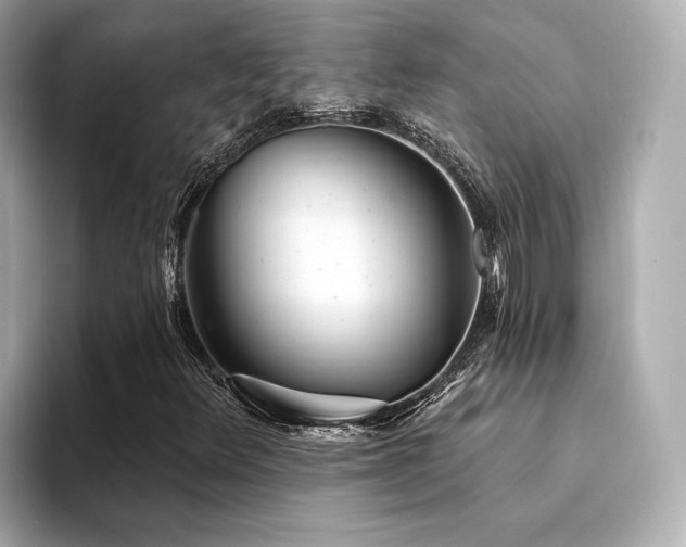 X0000094331348200711021402