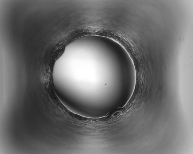 X0000094331349200711021402