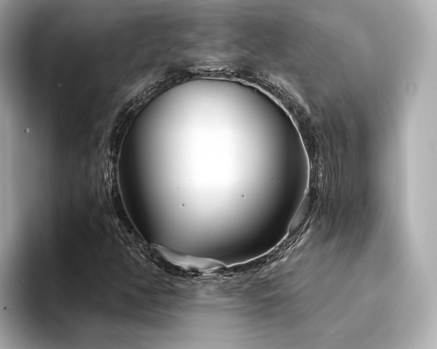 X0000094331350200711021402