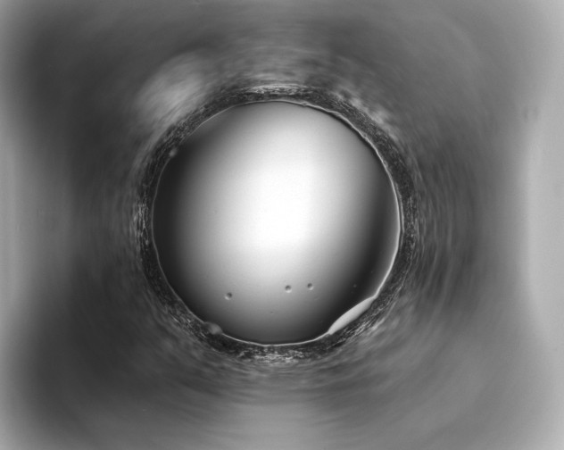 X0000094331351200711021402