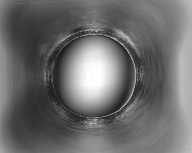 X0000094331352200711021402